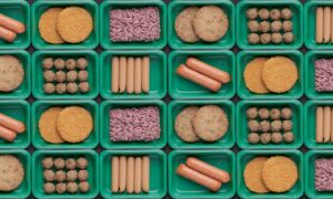 There's an abundance of fake meat products on the market today, but do they belong in school dinners? Image: Shutterstock