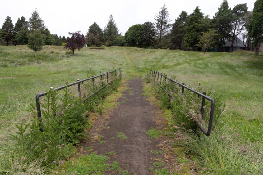 A bridge once used by golfers, now choked with weeds. 