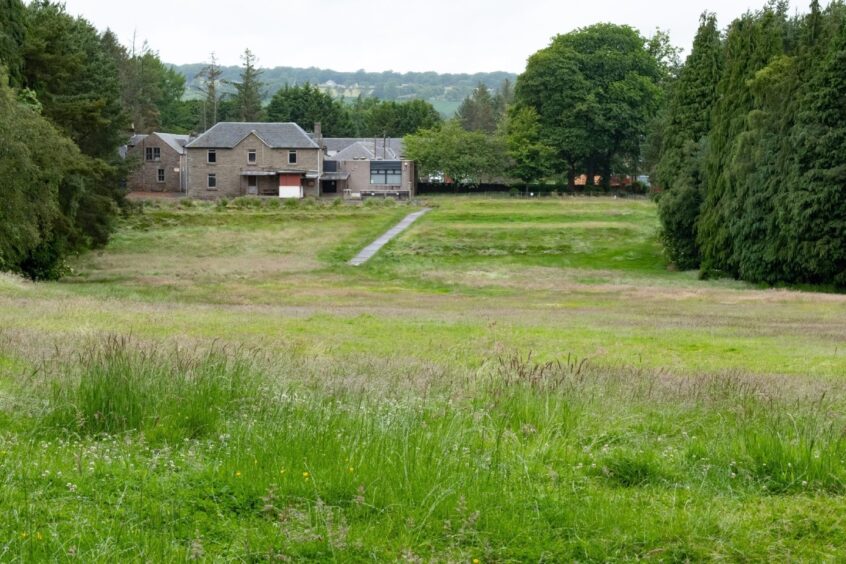 The overgrown former first fairway.  