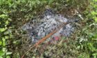 The area the dog was retrieved from. The stick was over its body. Image: Missing Pets Dundee and Angus
