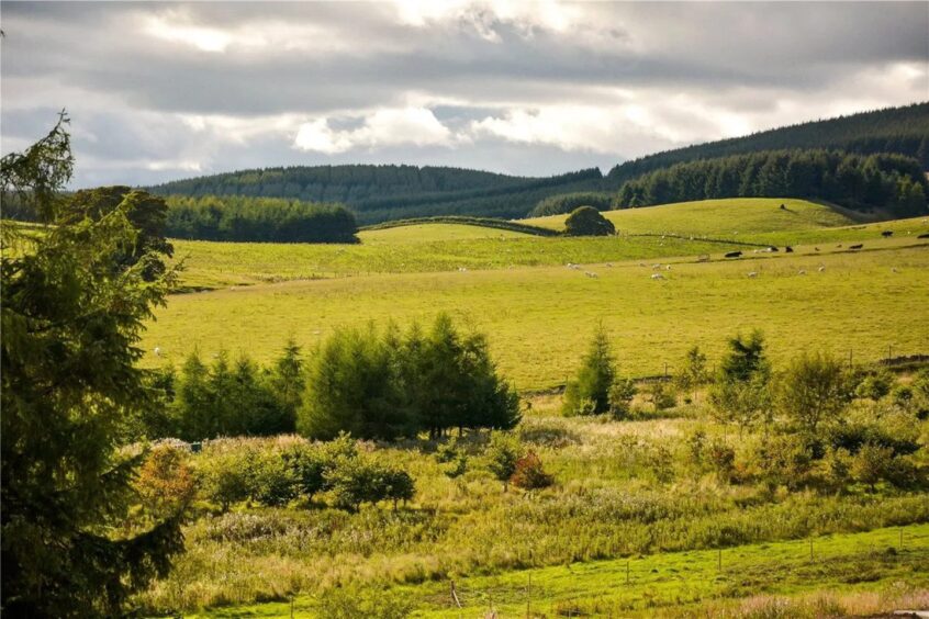 Rolling hills and woodland in Kinross-shire. 