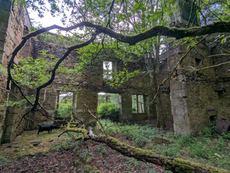 Ruins of abandoned Bellaty Lodge