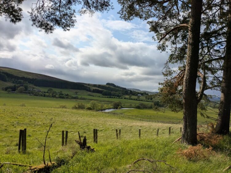 Views of Glenisla from Bellaty.