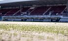 Shoots of grass start to show through Dunfermline Athletic's new pitch at East End Park.