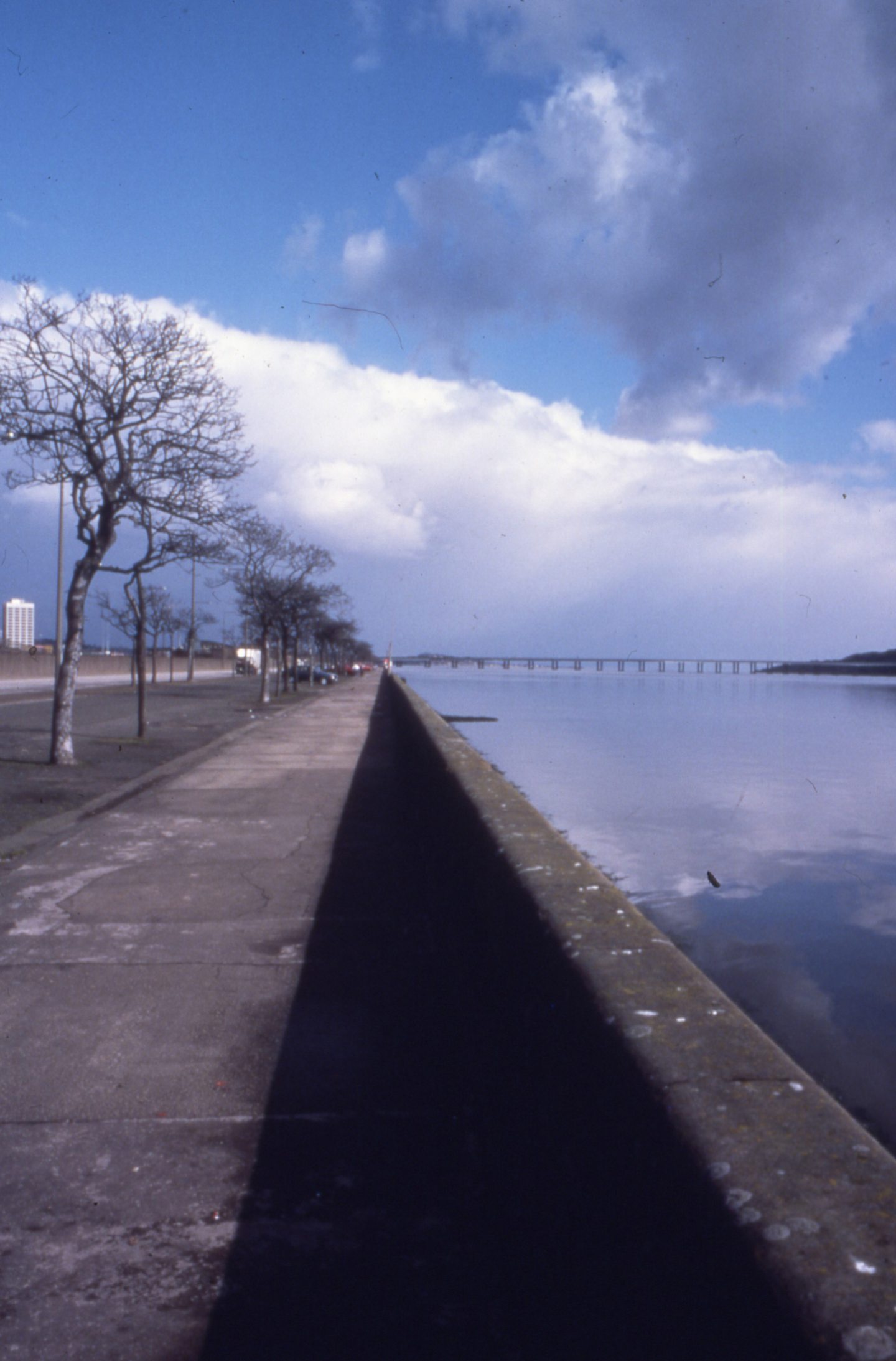 Riverside Drive, with a path on the left of the picture, the River Tay on the right and the road bridge in the distance