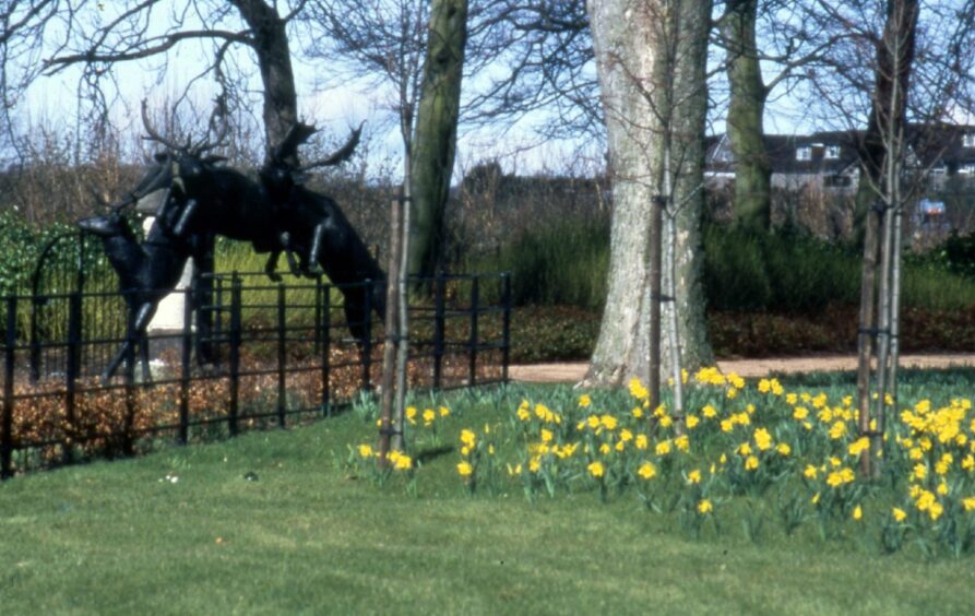 Daffodils bloom near to a deer statue among the trees