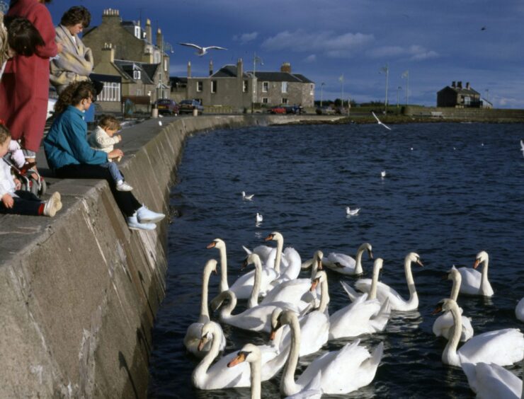 People sitting on the stone wall and feeding the swans at Broughty Ferry Harbour in 1988.