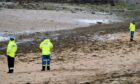 Coastguard officers at Shell Bay, opposite Elie Holiday PArk. CR0053593 Stephen Eighteen Shell Bay, near Elie Holiday Park, Fife A beach in Fife's East Neuk has been shut due to the discovery of a mortar shell. The find was made at Shell Bay, Ellie, at around 3pm on Saturday. Coastguard crews from St Andrews and Leven arrived shortly after. They are still on the scene on Sunday morning, protecting a cordon to stop people from going on the beach. They will remain there until bomb disposal experts arrive. 4 Coastguard vehicles and 9 Coastguard persons were on the scene. (Photo by David Wardle)