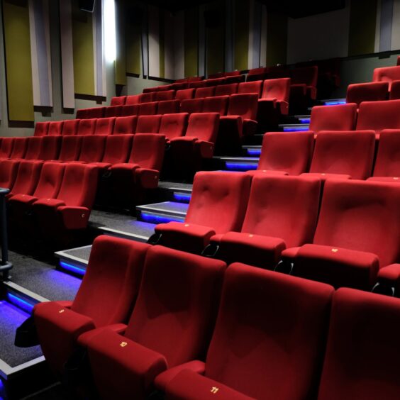 The cinema.