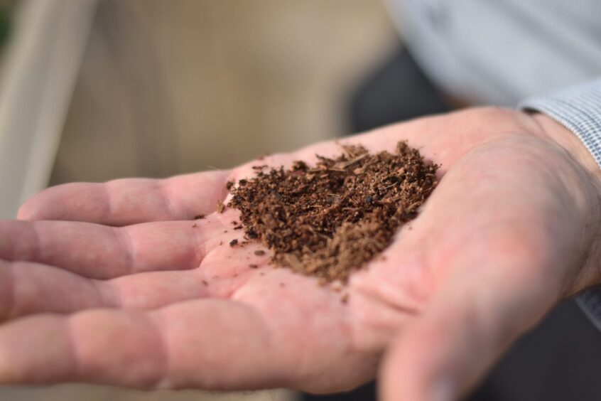 A person holding a small pile of coir.
