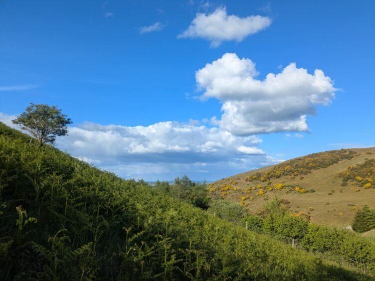 One of the route up to Finavon hillfort.
