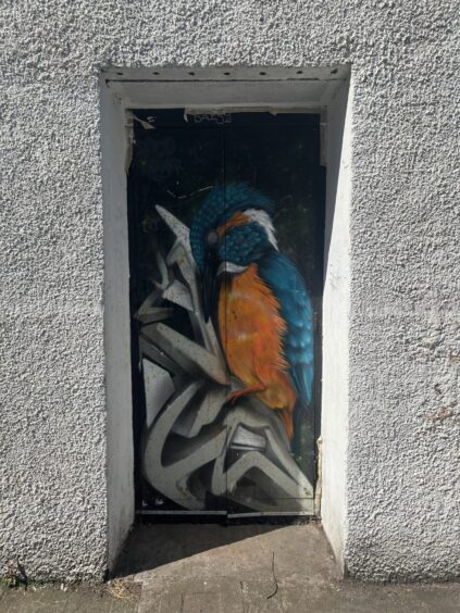 A mural of a kingfisher on a door. 