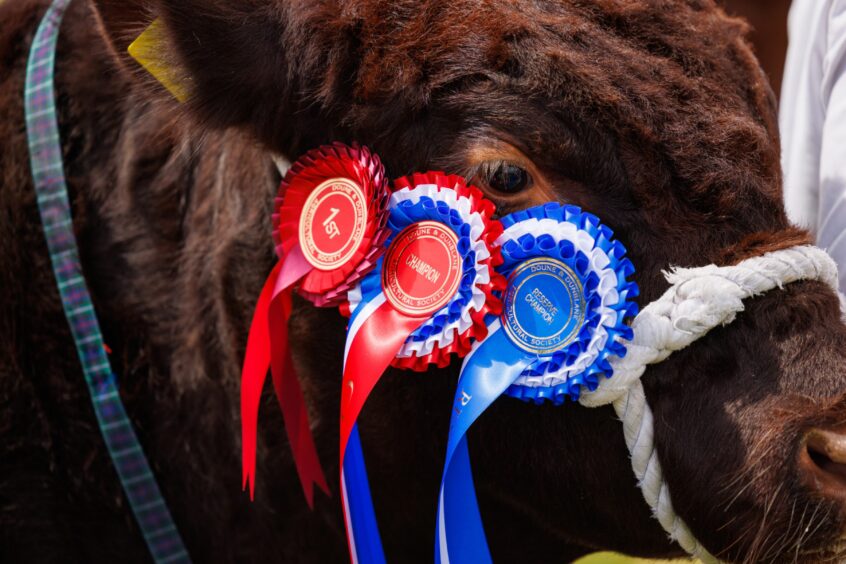 Doune and Dunblane Show
