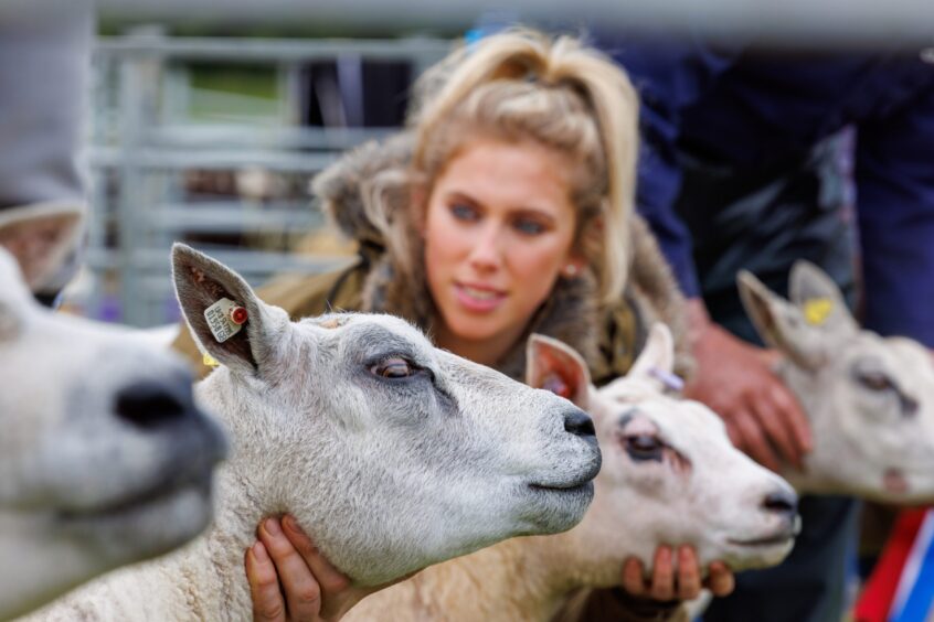 Doune and Dunblane Show