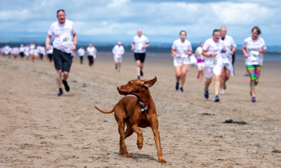 A dog leads the way as Chariots of Fire beach race competitors run to catch up