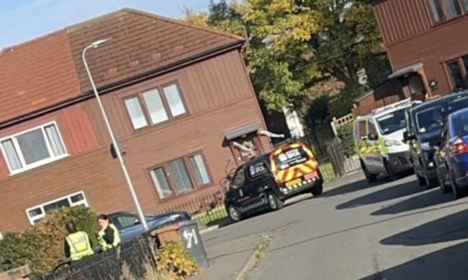 Mossgiel Place SSPCA raid
