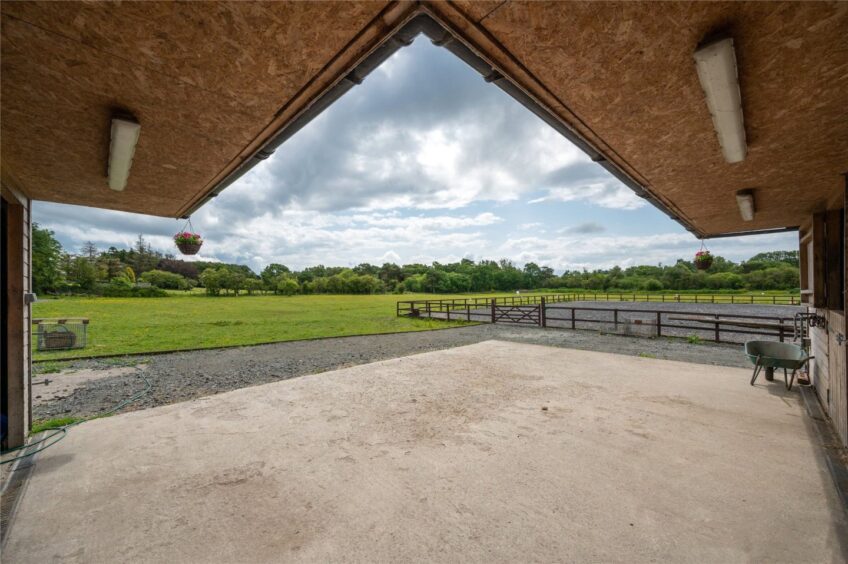 The equestrian area. 