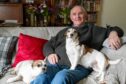 Norman Hawkes seated, smiling, on sofa with dog on knee and another lying beside him
