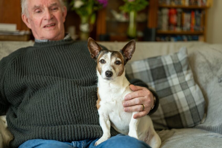 Norman Hawkes, seated on sofa, smiling at Jack Russell terrier on his lap