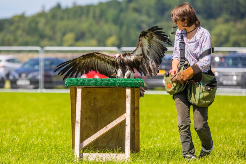 Vera with a vulture.
