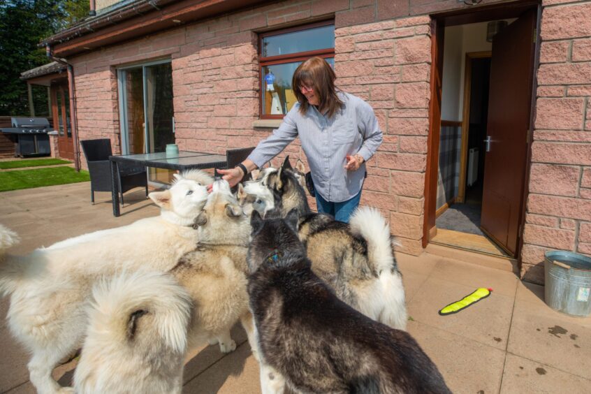 Heather giving the huskies treats in the garden.