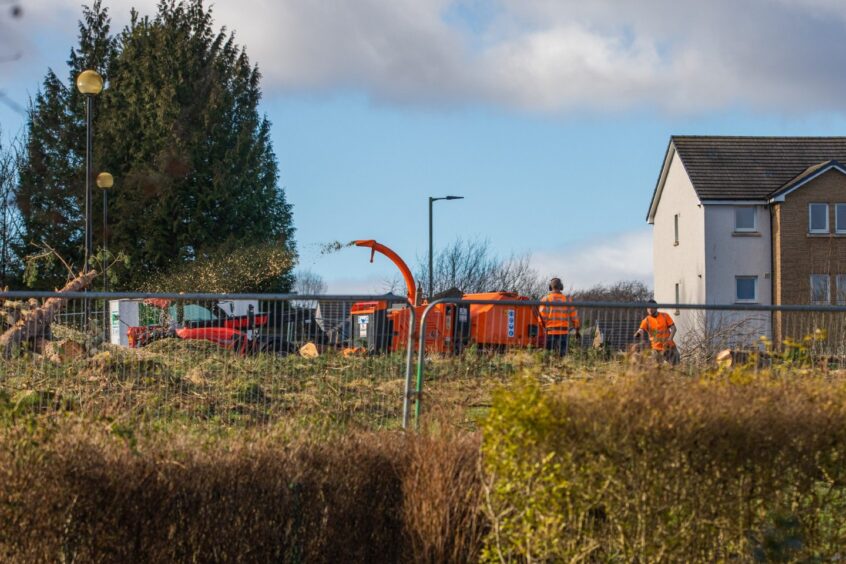 Workers and machinery on overgrown site on edge of Perth
