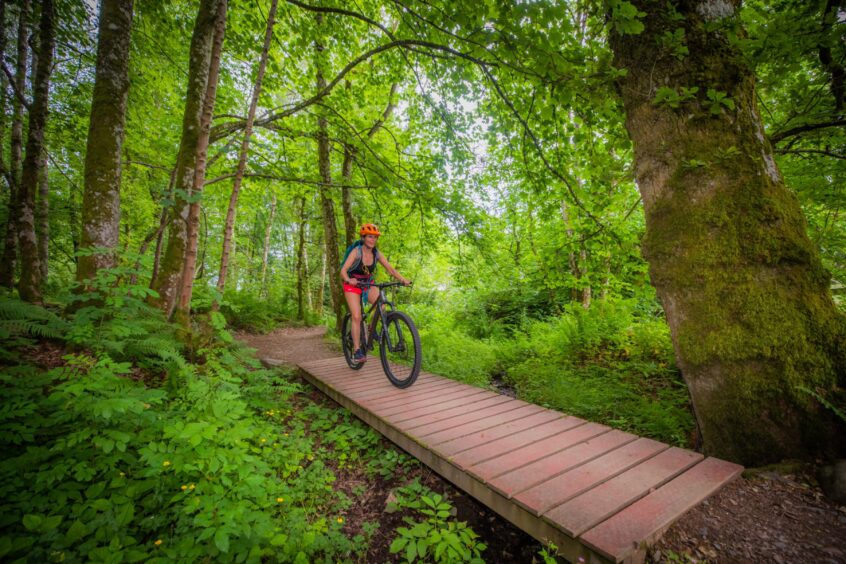 Gayle navigates a narrow bridge during the Tranquil Trails experience