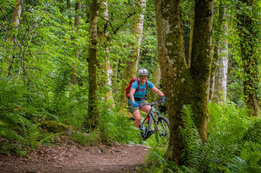 Emily set up Tranquil Trails earlier this year. 