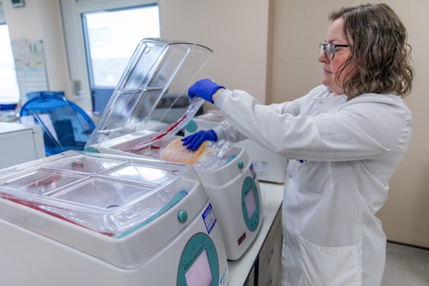 Senior biomedical scientist Lesley Macdonald slowly thawing fresh frozen plasma.