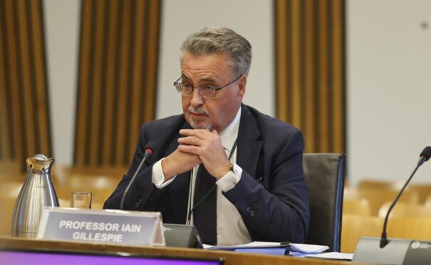 Professor Iain Gillespie in the Scottish Parliament on Thursday. Image: Scottish Parliament.