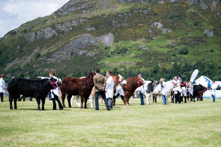 Stirling Agricultural Show