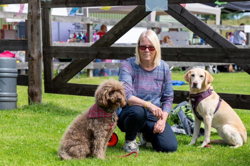 Yogi and Kash with owner Denise Berrie.