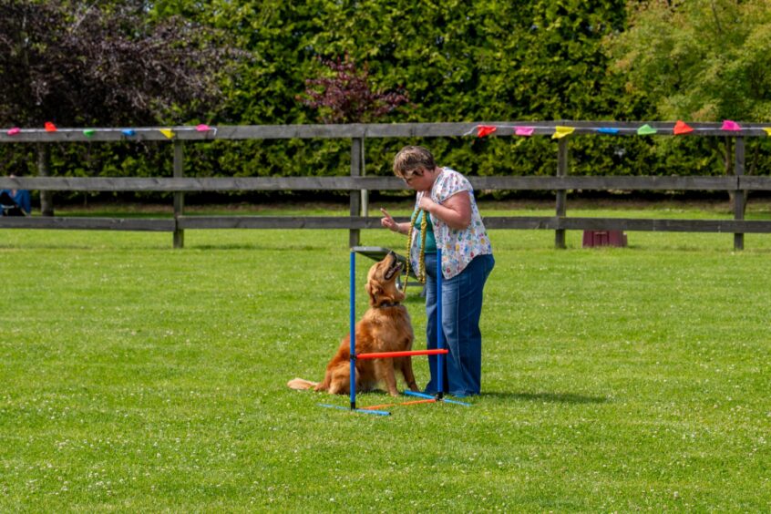 One of the demonstrations during Tartan Doggy Day.