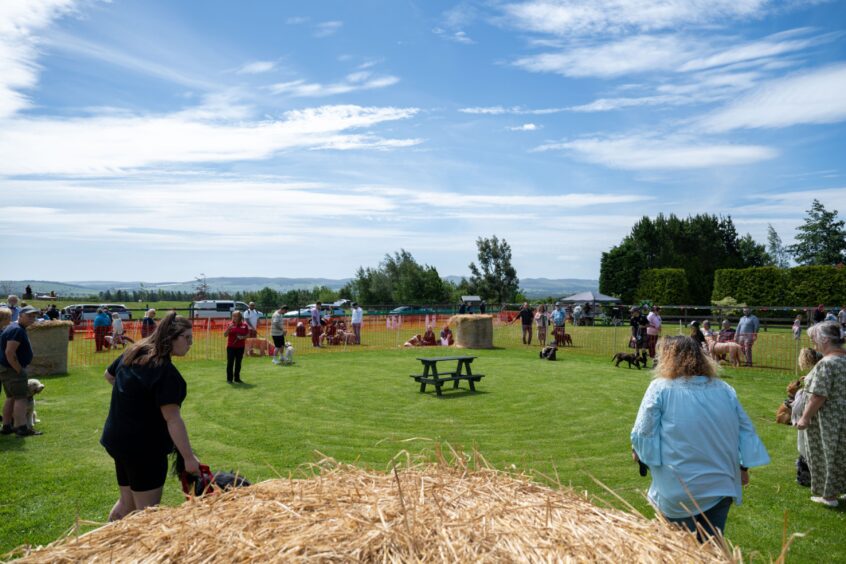 Visitors enjoyed blue skies for the event at Pathhead Farm.