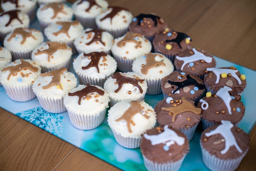 Doggy cakes on offer.