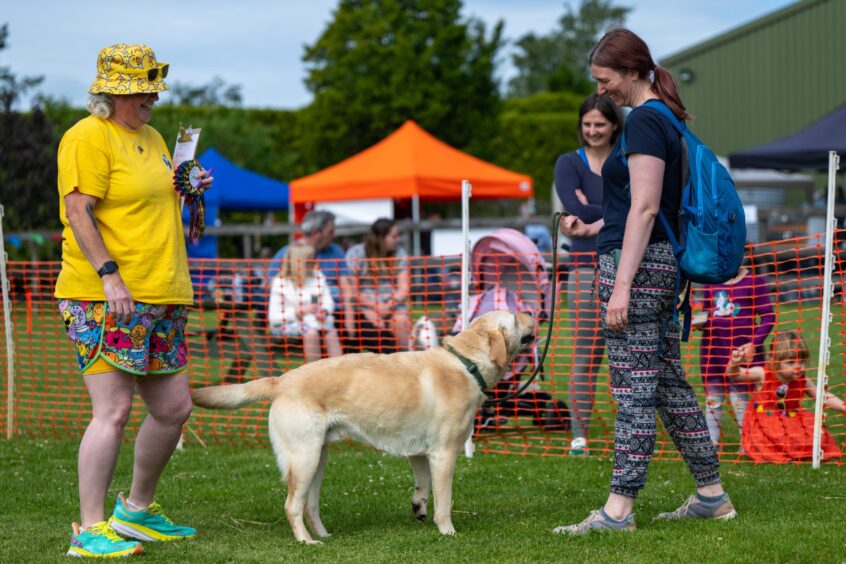 Moira Preston of Dog Friendly Fun Scotland judging the waggiest tail competition.
