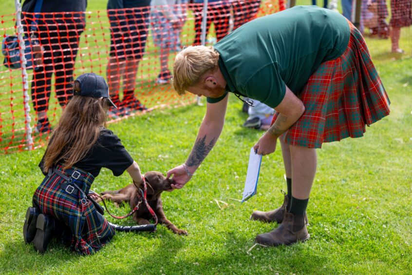 Judging during one of the afternoon's competitions at Tartan Doggy Day.