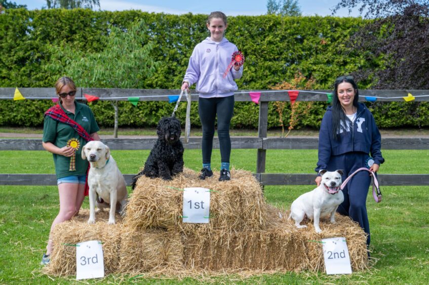 Waggiest Tail competition competition winners: 1st Taffy with owner Isabel, 2nd Miss Piggy with owner Claire Dodds, and 3rd Obi with owner Laura from Pathhead Farm.