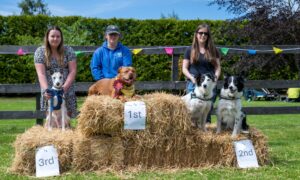 Prettiest dog competition winners:  1. Zola with owner Paula Grattan, 2. Skye and Nova with owner Andrea Kirk, and 3. Jackson with Megan McCardle. Image: Richard Hancox/DC Thomson