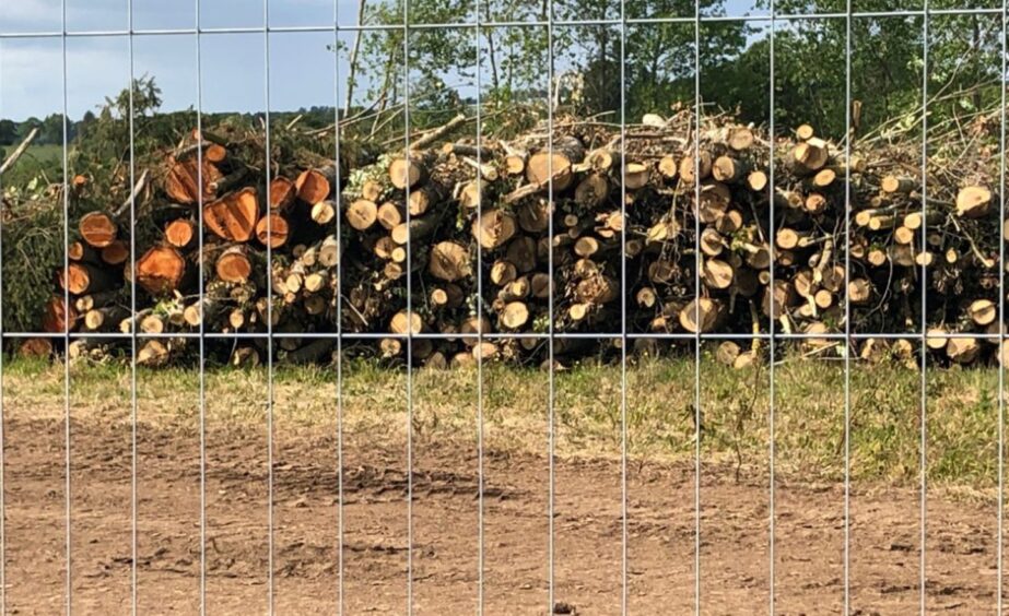 Tree branches piled up behind wire fence