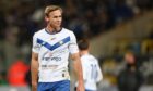 Bert Esselink will bolster a youthful pool of defenders