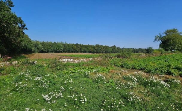 West Springfield Cupar solar farm plan with 93,000 panels lodged