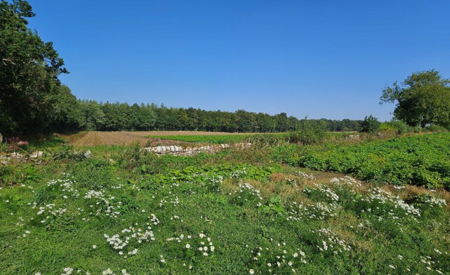 The West Springfield solar farm site as it is just now.