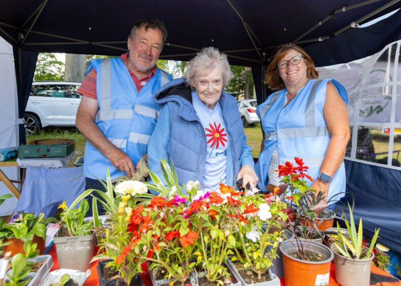 Three volunteers in blue vests pose behind a vibrant plant and flower stall during Carnoustie gala day 2025, smiling beneath a gazebo.