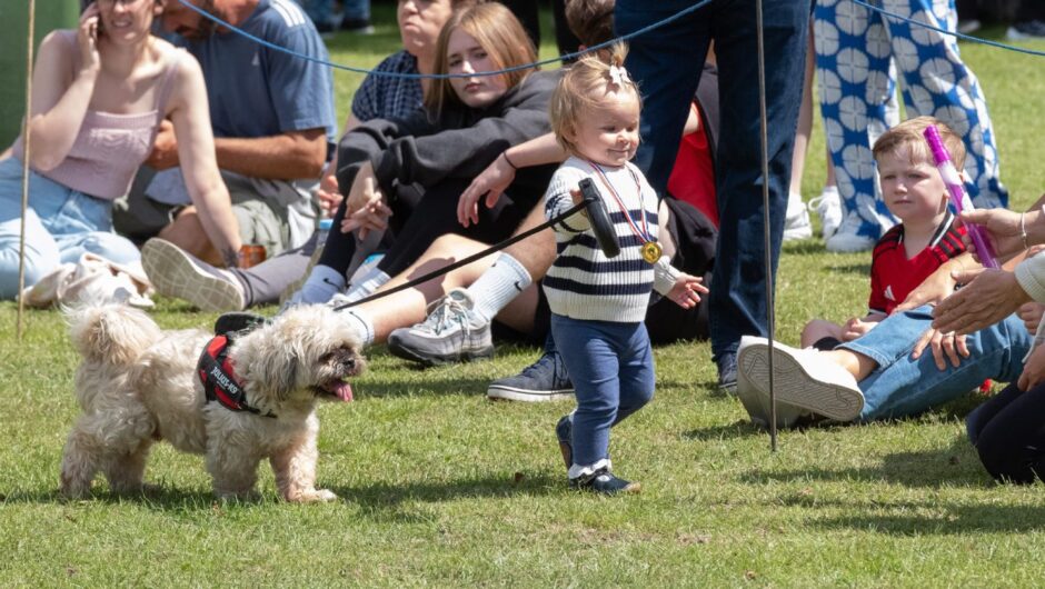 Toddler wearing a medal walks a fluffy dog on a lead in front of spectators during the pet show at Carnoustie Gala Day 2025.