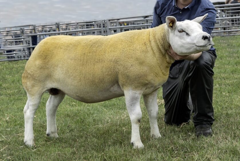 Kirriemuir Show