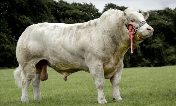 Kirriemuir Show