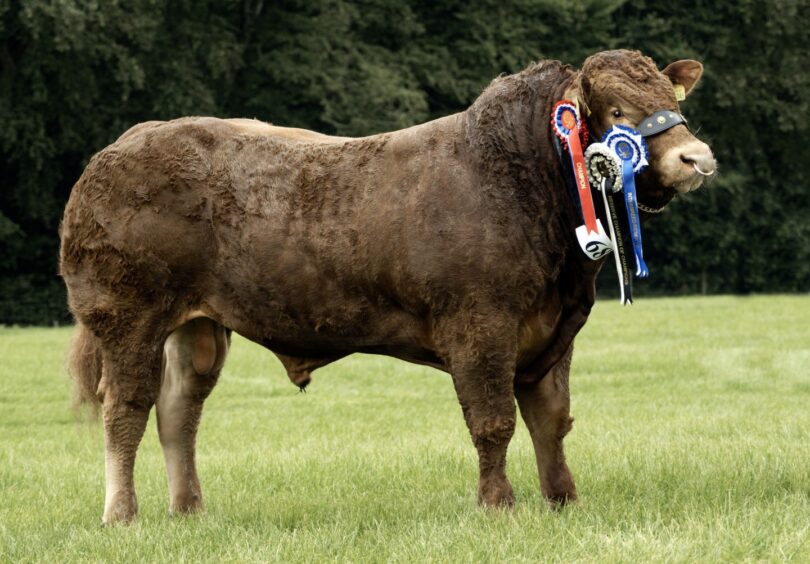 Kirriemuir Show