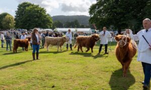 Perth Show