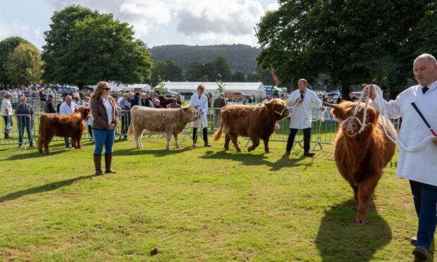 Perth Show